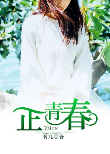 王聪小说