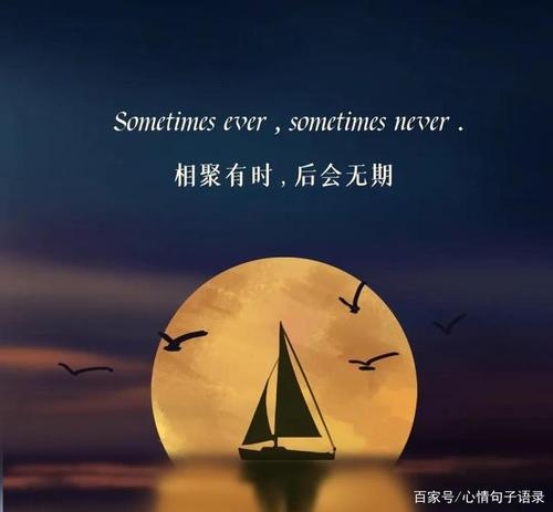 秒赞的心情说说