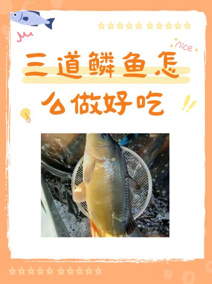 鱼鳞能做什么用途