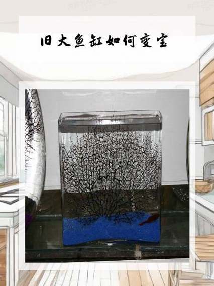 鱼缸磁力宝使用方法