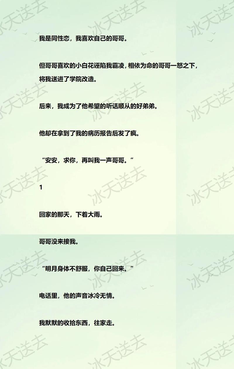 锐文小说