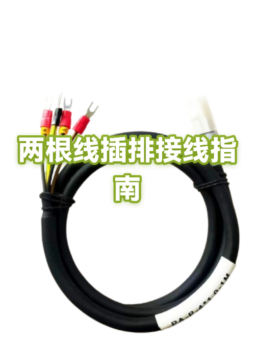 插排两根线怎么接