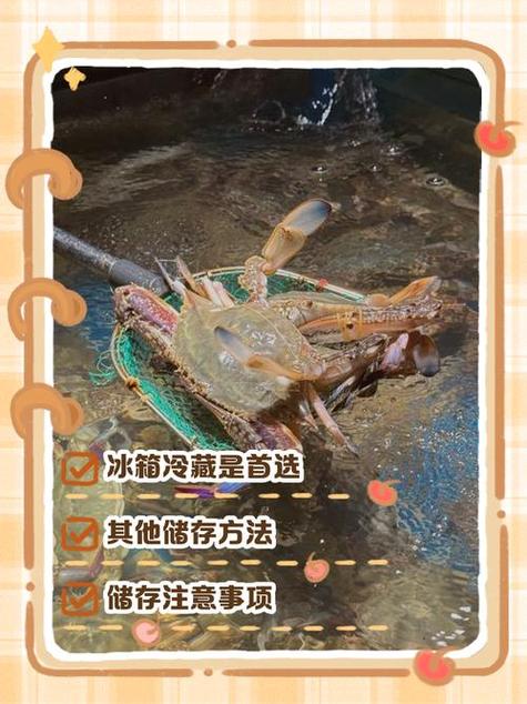 螃蟹放冷冻还是冷藏