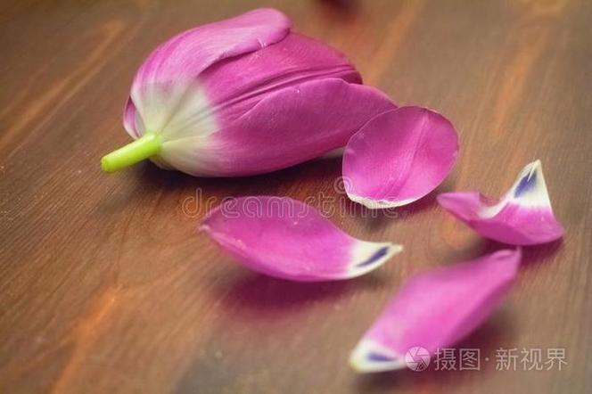 花瓣上的图可以商用吗