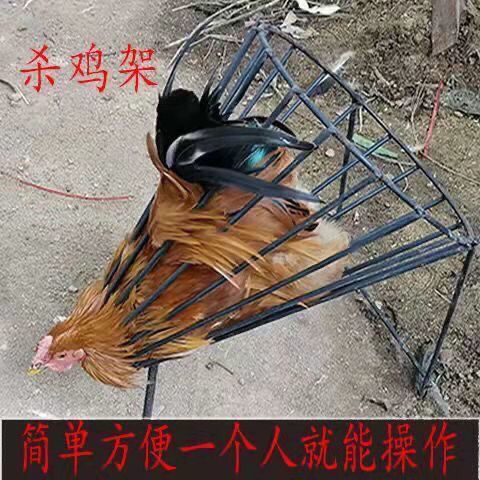 简单杀鸭工具