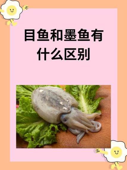 墨鱼是鱼嘛截图
