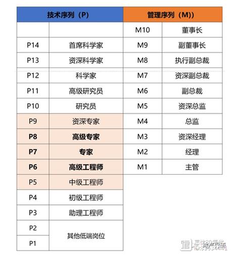 京东职位级别