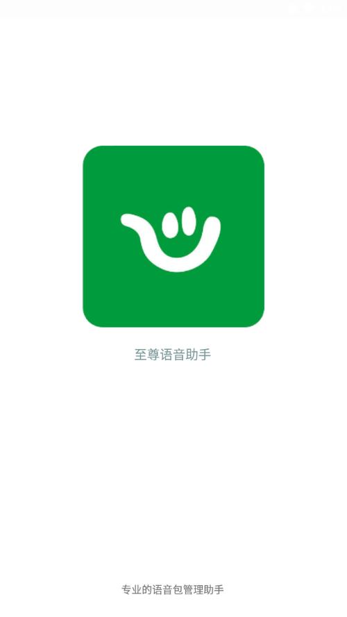 至尊语音助手激活码是多少图标