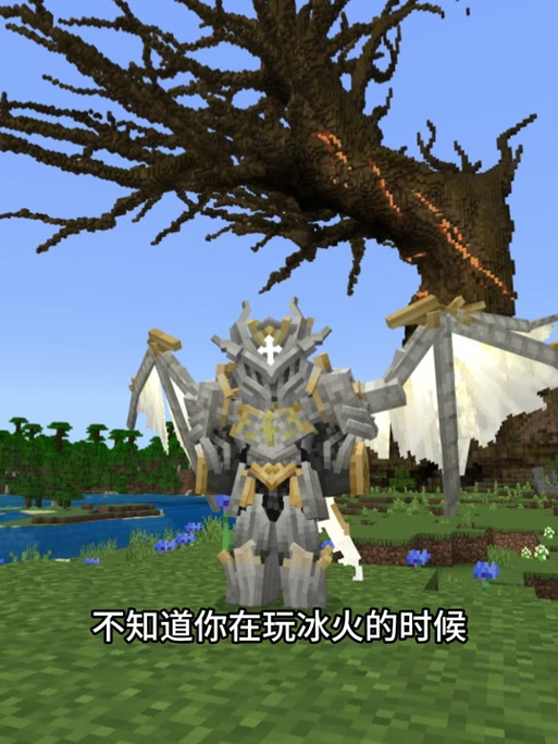 我的世界一口气看完龙之战争