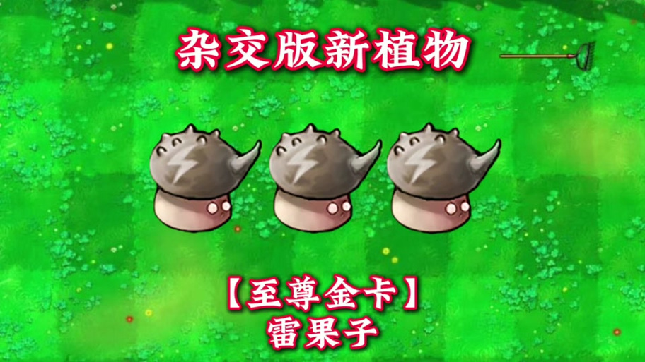 植物大战僵尸石果子是什么版本