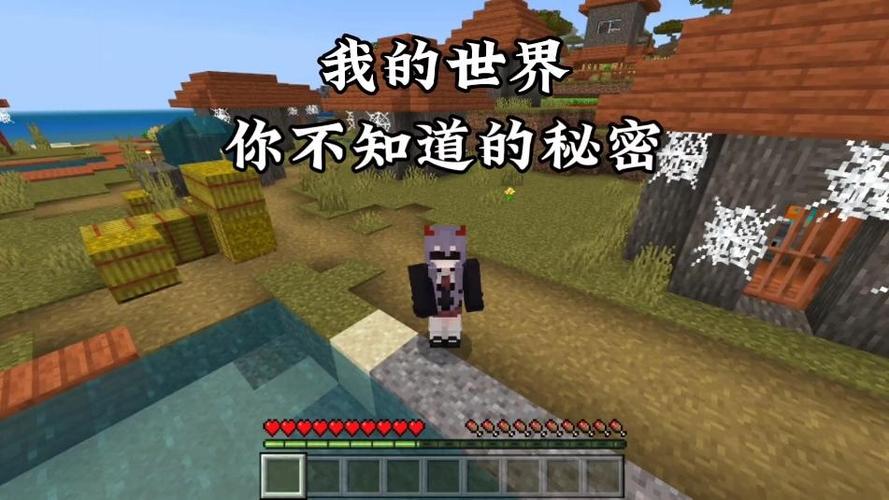 我的世界你不知道的秘密缩略图