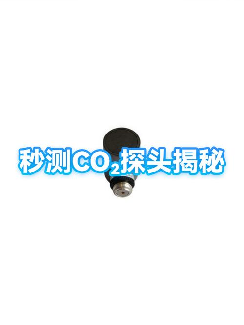 CO₂怎么打出来的截图