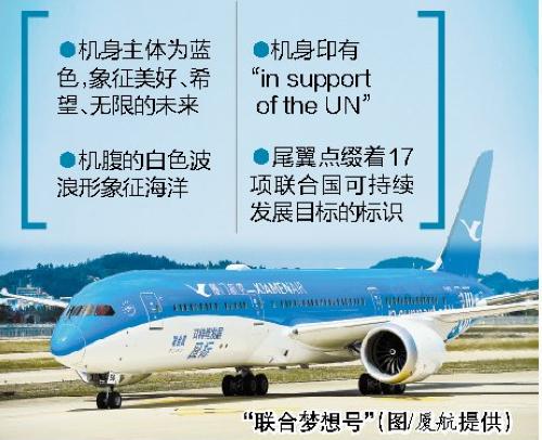 联合梦想号飞机的介绍