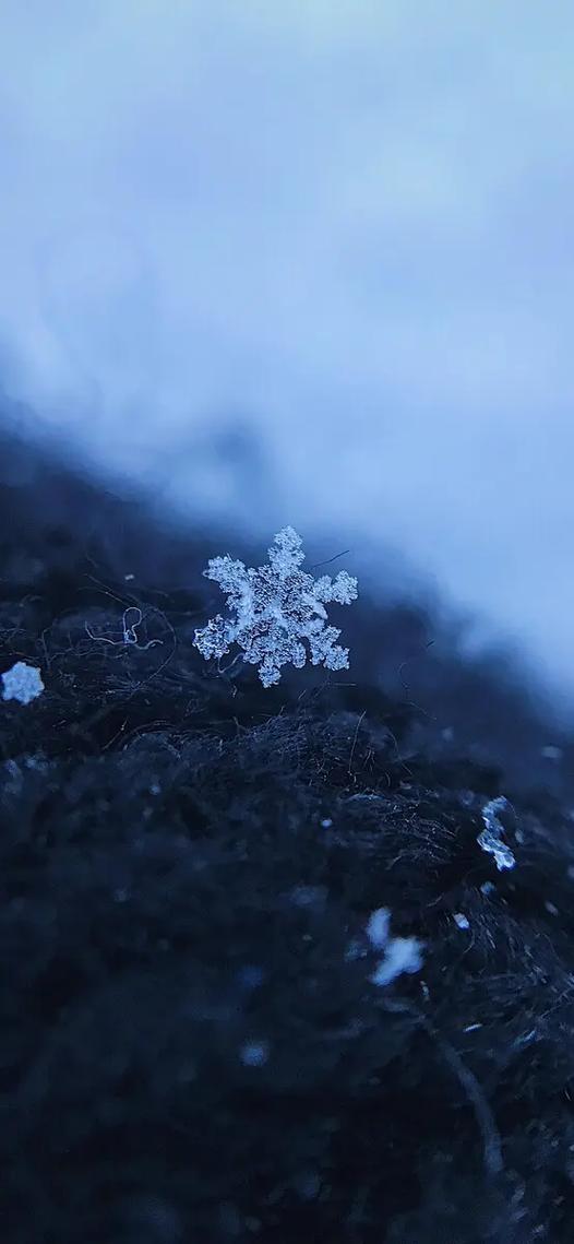 雪花公益内核(免root)游戏截图