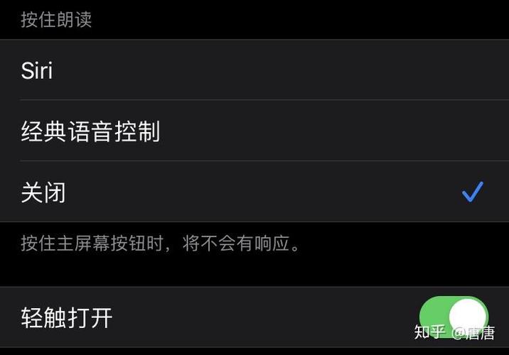 ipad朗读屏幕内容