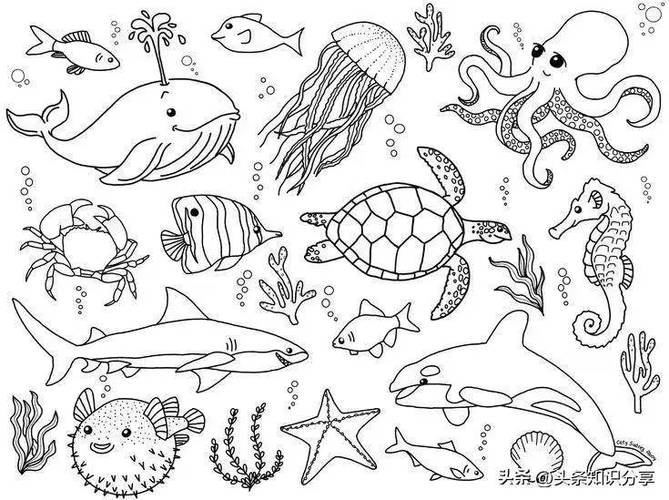 100种海洋生物简笔画