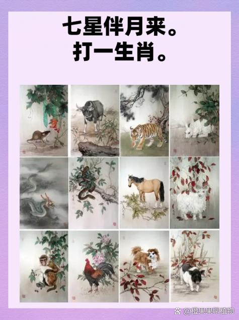 月作明灯夜夜光打一生肖