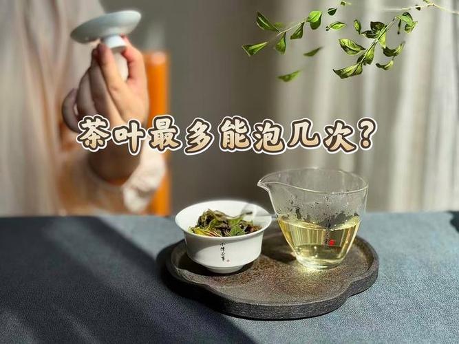 茶一次最多能泡多少次