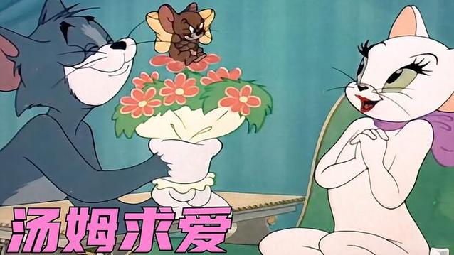 汤姆猫追白猫第几集