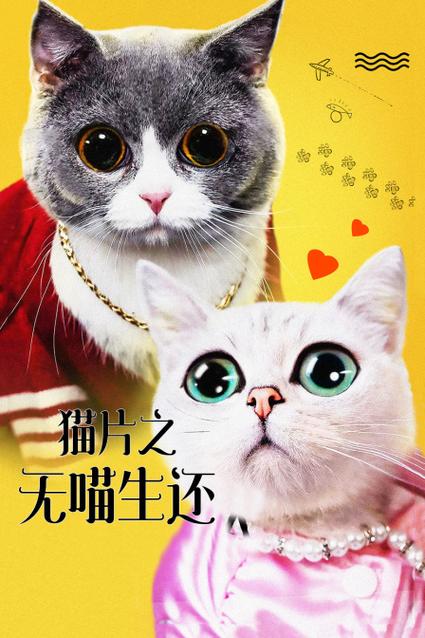 《猫片之无喵生还》续集