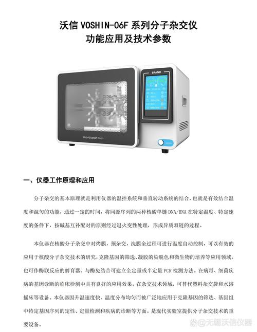 hw06.模拟器
