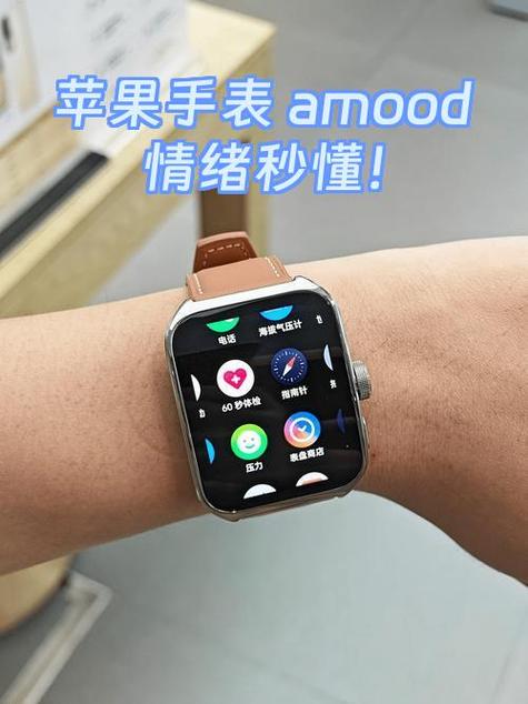 苹果手表功能介绍截图