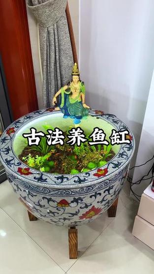 鱼缸不换水怎么让水清澈呢缩略图