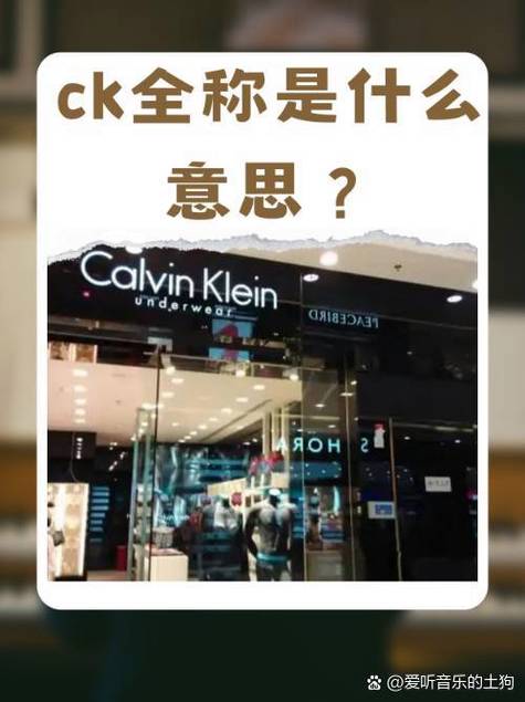 kc服装是什么牌子