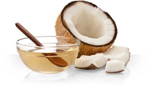 coconut 翻译