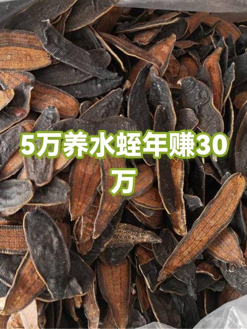 养水蛭的10大忠告图标