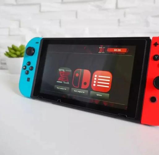switch破解后开机图标
