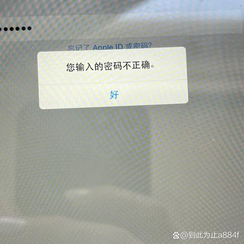 电脑连接不上校园网密码错误