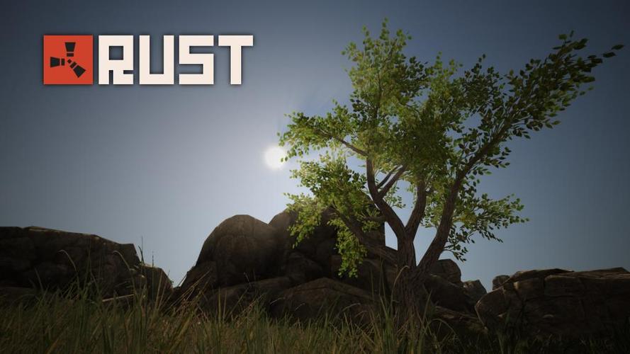 rust买的包