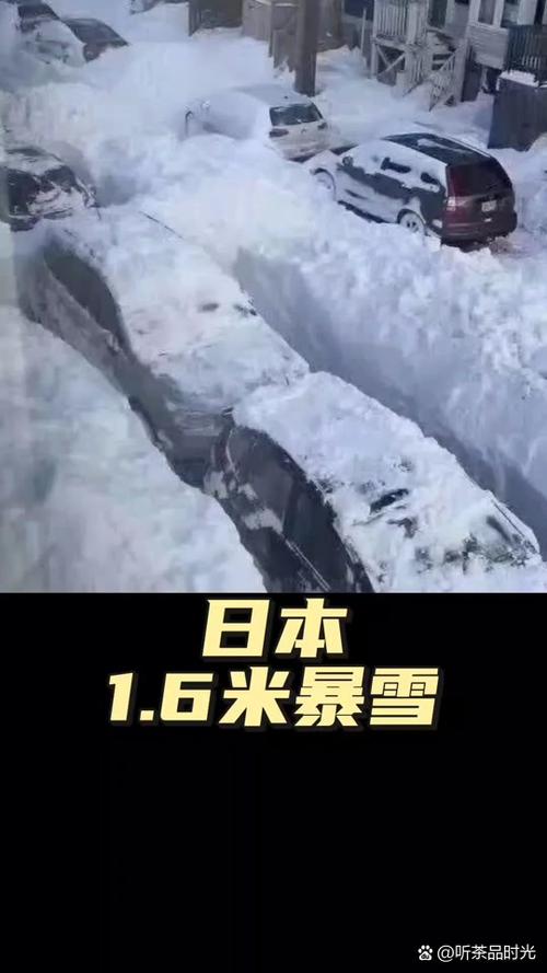 日本2026暴雪最新消息