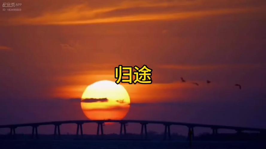 手机照片无缘无故没了怎么找回