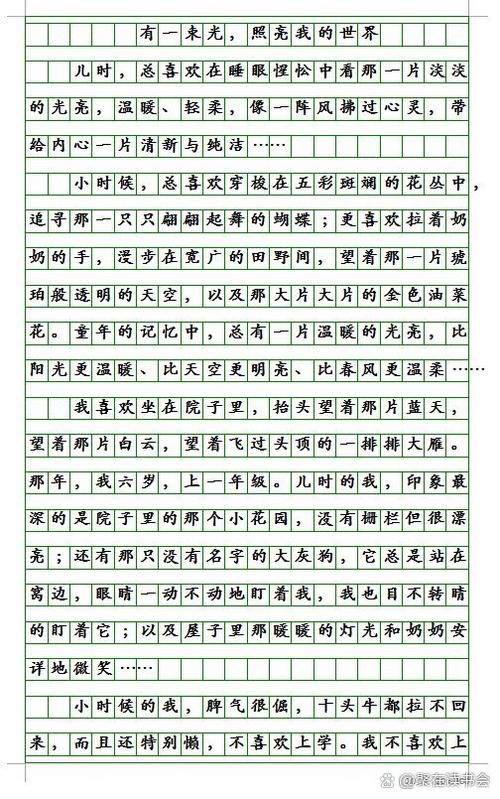 中考优秀作文600字