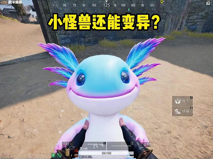 精卫和平精英直装图标
