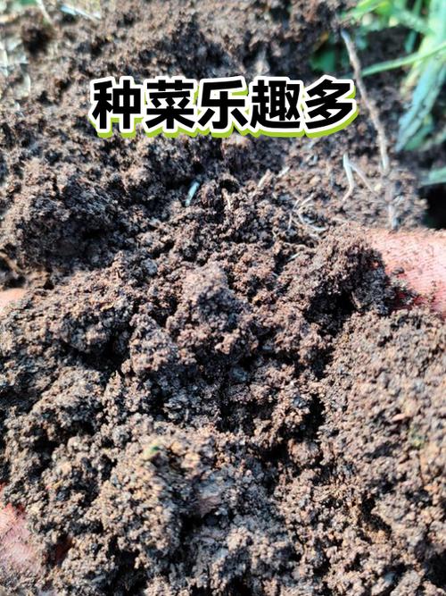 私人定制菜园赚钱吗