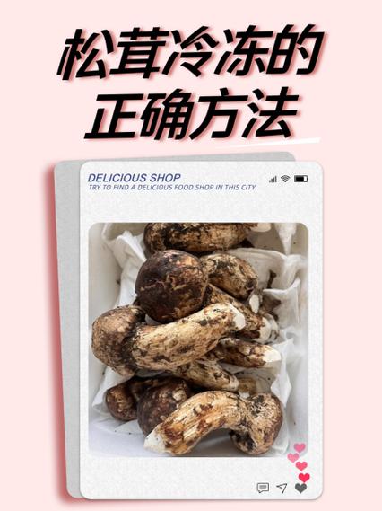 蘑菇能不能冷冻保存