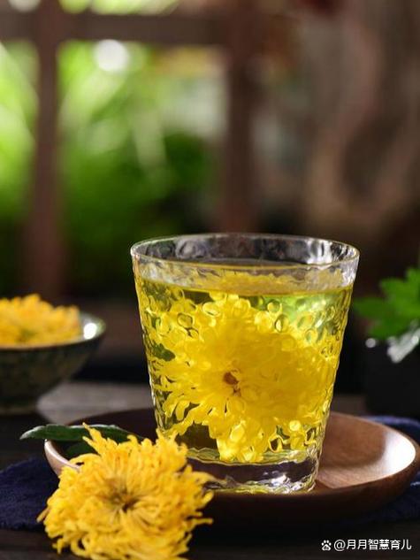 菊花清火还是上火