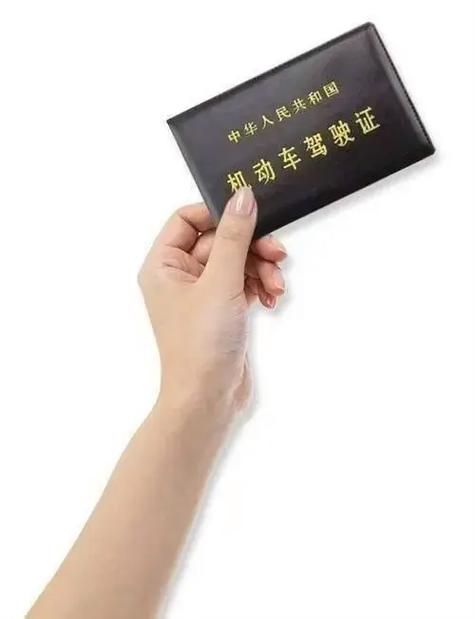 换证体检被锁定的解决方法