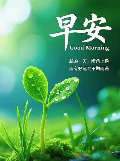 能量满满的一天缩略图