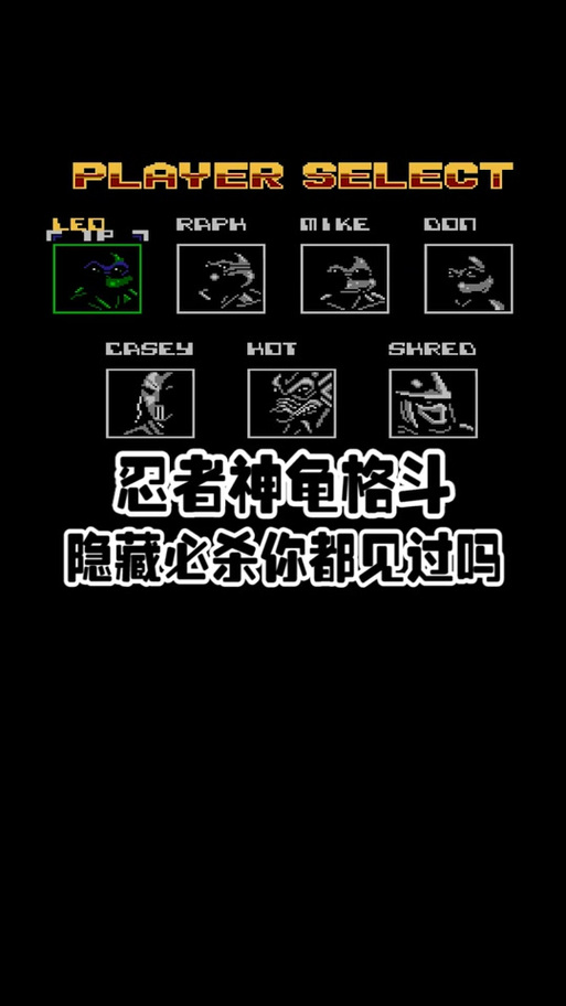 忍者神龟秘籍大全