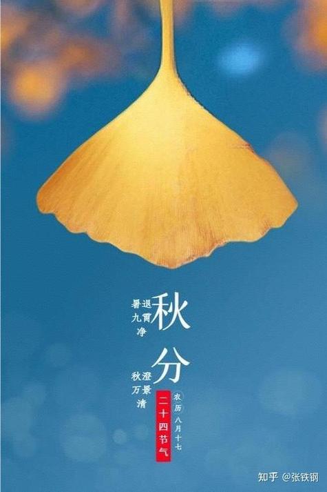 今日秋分视频