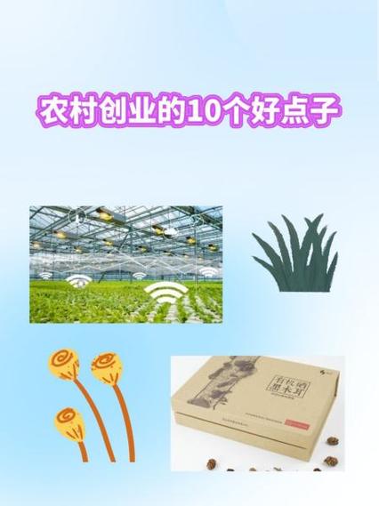 一个好点子能卖多少钱