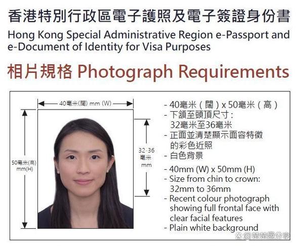 签证照片具体要求截图