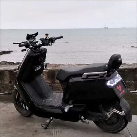 小牛n型号一览表
