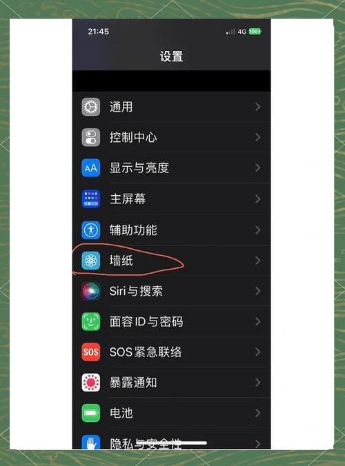 iphone桌面双时钟怎么设置图标