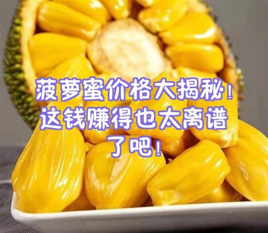 马路边卖菠萝蜜赚钱吗