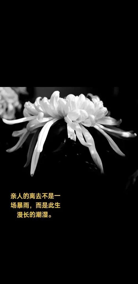 让已故的亲人放心的话